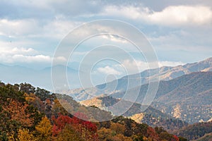 Beautiful fall colors trees and mountain vista autumn cloudy day, copy space