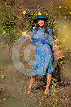 Beautiful fall day in orchard - woman with full basket colecting fruits at plantation of quinces