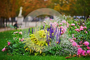 Beautiful fall day in Tuileries garden, Paris