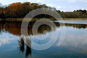 Marsh waters reflecting sky and fall colors