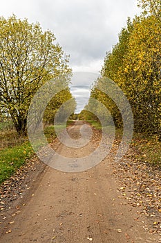 Beautiful Fall scene on curved unpaved road with colorful leaves on trees and in the road