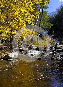 Beautiful Fall stream