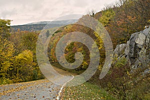 Beautiful Fall Virginia Road