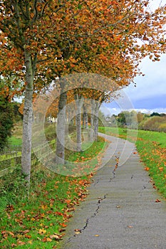 Beautiful Fall walk in peaceful setting