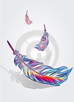 Beautiful falling feathers
