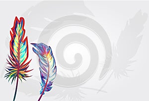 Beautiful falling feathers