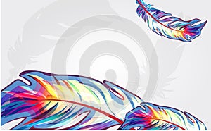 Beautiful falling feathers