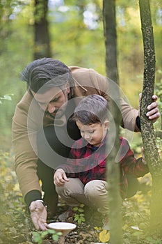 Beautiful family father and son searching for mushrooms