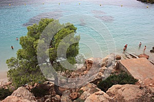 The beautiful and famous bay of cala saladeta of ibiza seen from above or rocky inlet between the rocks and the vegetation of the photo