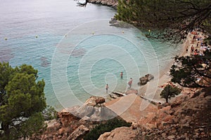 The beautiful and famous bay of cala saladeta of ibiza seen from above or rocky inlet between the rocks and the vegetation of the photo