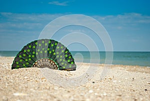 Beautiful fan sand close-up on the background of the sea and sky, clouds veil still life summer sun