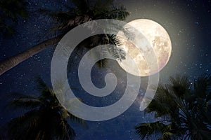 Beautiful fantasy of palm tree at tropical beach and full moon with milky way star in night skies background