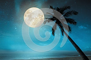 Beautiful fantasy tropical beach with full moon