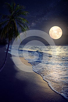 Beautiful fantasy tropical beach with Milky Way star in night skies