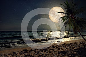 Beautiful fantasy tropical beach with Milky Way star in night skies, full moon