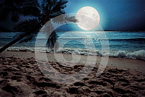 Beautiful fantasy tropical beach with star and full moon in night skies