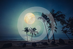 Beautiful fantasy tropical beach with star and full moon in night skies