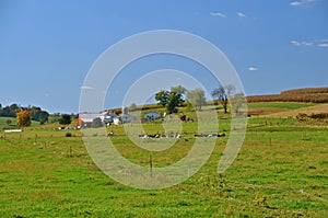 Beautiful Farm in the Countryside