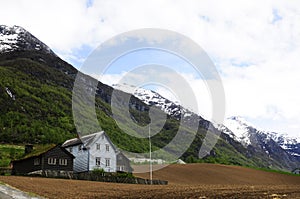 Beautiful Farm - Nordic Landscape, Norway - Postcard