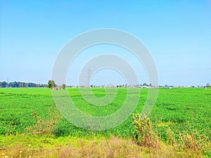 A beautiful farmer village seen of Punjab in india during morning time