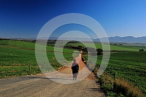 A Beautiful Farming landscape