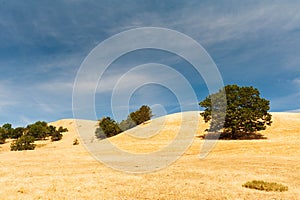 beautiful farmland in Glide photo