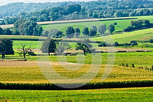 Beautiful farmland landscape