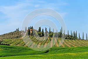 Beautiful farmland rural landscape, cypress trees and colorful spring flowers in Tuscany, Italy. Typical rural house