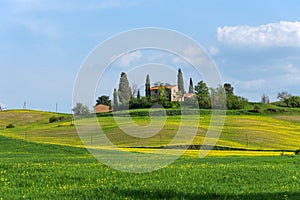 Beautiful farmland rural landscape, cypress trees and colorful spring flowers in Tuscany, Italy. Typical rural house
