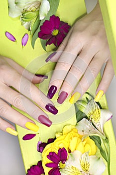 Beautiful fashionable multi-colored manicure with matte and glossy nail Polish colors with decorative small flowers