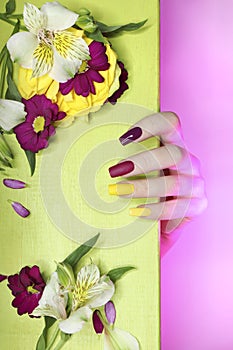 Beautiful fashionable multi-colored manicure with matte and glossy nail Polish colors with decorative small flowers