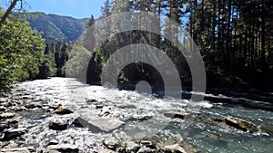 beautiful fast mountain stream with clear water at summertime day - photo of nature