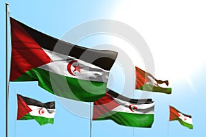 Beautiful feast flag 3d illustration - 5 flags of Western Sahara are waving against blue sky image with soft focus