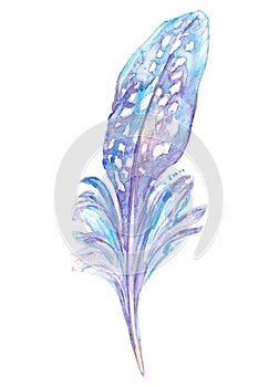 Beautiful feather of fairy bird in blue and lilac colors isolated on the white background. Watercolor illustration