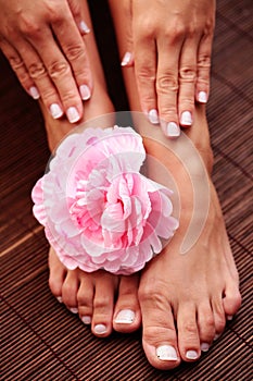 Beautiful feet and hands photo