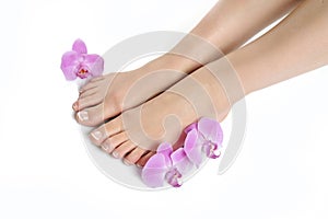 Beautiful feet with perfect french spa pedicure