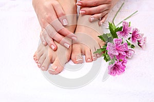 Beautiful feet with perfect spa french nail