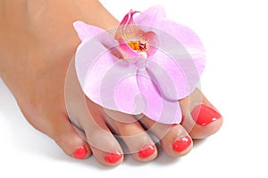 Beautiful feet with perfect spa pedicure