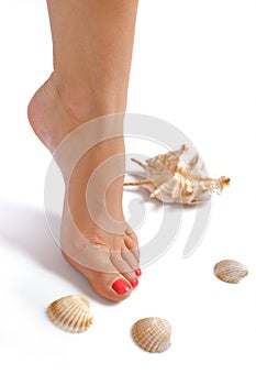 Beautiful feet, perfect spa pedicure, sea shell