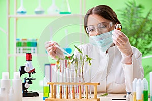 The beautiful female biotechnology scientist chemist working in lab