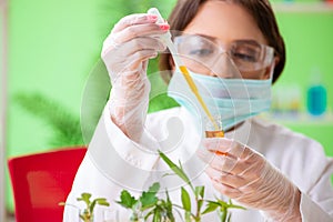 The beautiful female biotechnology scientist chemist working in lab