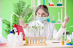 The beautiful female biotechnology scientist chemist working in lab