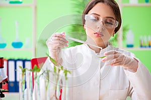 The beautiful female biotechnology scientist chemist working in lab