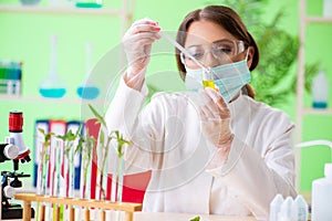 The beautiful female biotechnology scientist chemist working in lab