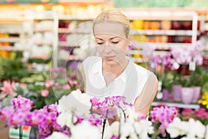 Beautiful lady smelling colorful blooming orchids.