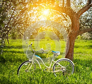 Beautiful female cyclist with retro bicycle in the spring garden