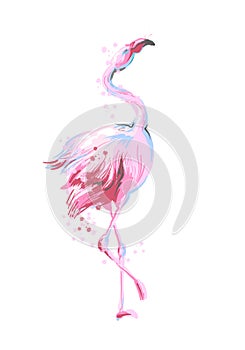 Beautiful female dancing pink flamingo smiling isolated on white background with pink splash for prints, fashion apparel