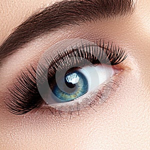 Beautiful female eye with extreme long eyelashes, black liner makeup. Perfect make-up, long lashes. Closeup fashion eyes