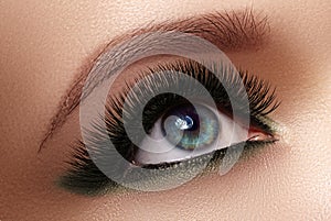 Beautiful female eye with extreme long eyelashes, black liner makeup. Perfect make-up, long lashes. Closeup fashion eyes