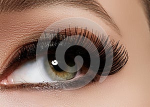 Beautiful female eye with extreme long eyelashes, black liner makeup. Perfect make-up, long lashes. Closeup fashion eyes